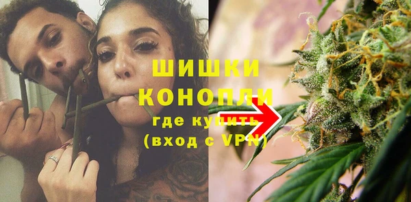 хмурый Болотное