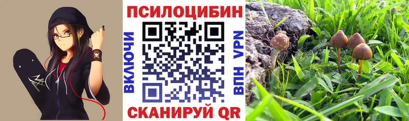 Галлюциногенные грибы Cubensis  OMG как зайти  Болгар 